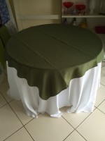 /album/cobre-manchas/cobre-mancha-verde-lodo-jpg1/